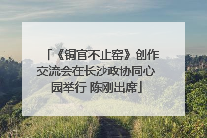 《铜官不止窑》创作交流会在长沙政协同心园举行 陈刚出席