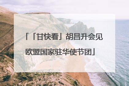 「甘快看」胡昌升会见欧盟国家驻华使节团