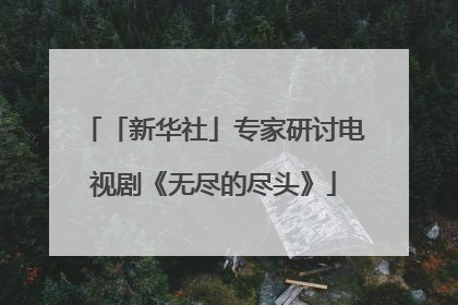 「新华社」专家研讨电视剧《无尽的尽头》