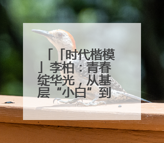 「时代楷模」李柏：青春绽华光，从基层“小白”到网络安全尖兵