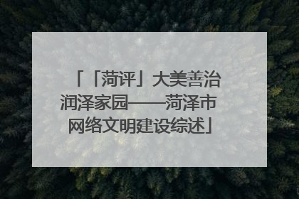 「菏评」大美善治润泽家园——菏泽市网络文明建设综述
