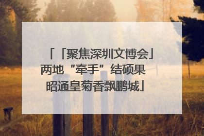 「聚焦深圳文博会」两地“牵手”结硕果 昭通皇菊香飘鹏城