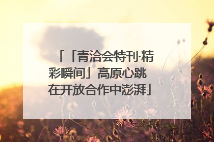 「青洽会特刊·精彩瞬间」高原心跳 在开放合作中澎湃