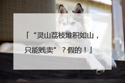 “灵山荔枝堆积如山，只能贱卖”？假的！