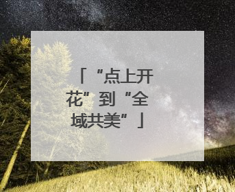 “点上开花”到“全域共美”