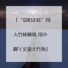 “益阳走娃”闯入竹林秘境 用小脚丫丈量大竹海