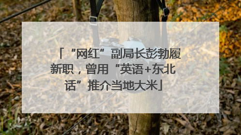 “网红”副局长彭勃履新职，曾用“英语+东北话”推介当地大米