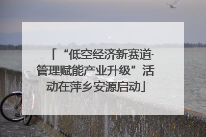 “低空经济新赛道·管理赋能产业升级”活动在萍乡安源启动