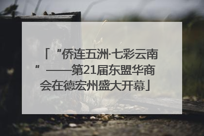 “侨连五洲·七彩云南”——第21届东盟华商会在德宏州盛大开幕