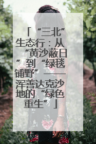 “三北”生态行：从“黄沙蔽日”到“绿毯铺野”——浑善达克沙地的“绿色重生”