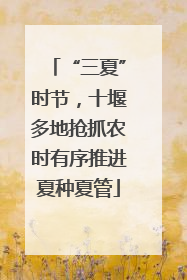 “三夏”时节，十堰多地抢抓农时有序推进夏种夏管