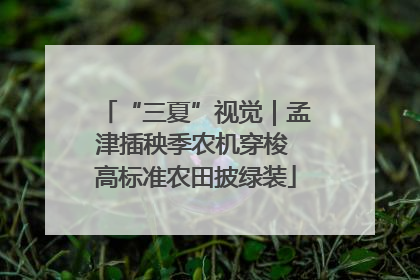 “三夏”视觉｜孟津插秧季农机穿梭 高标准农田披绿装