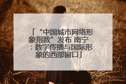 “中国城市网络形象指数”发布 南宁：数字传播与国际形象的西部窗口