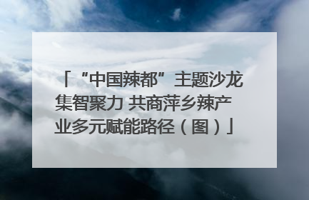 “中国辣都”主题沙龙集智聚力 共商萍乡辣产业多元赋能路径（图）