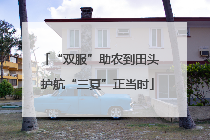“双服”助农到田头 护航“三夏”正当时