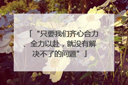 “只要我们齐心合力、全力以赴，就没有解决不了的问题”