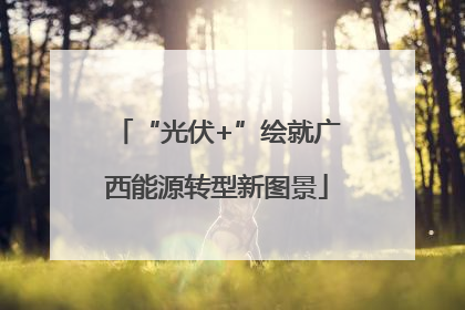 “光伏+”绘就广西能源转型新图景