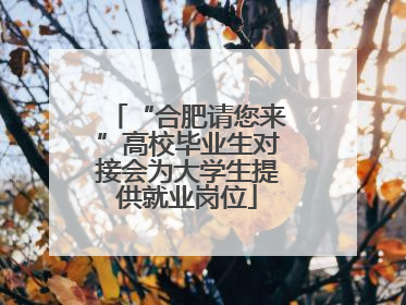 “合肥请您来”高校毕业生对接会为大学生提供就业岗位