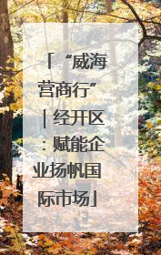 “威海营商行”｜经开区：赋能企业扬帆国际市场