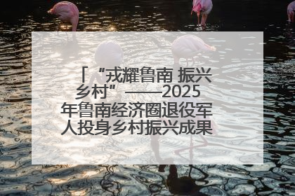“戎耀鲁南 振兴乡村”——2025年鲁南经济圈退役军人投身乡村振兴成果展销会盛大启幕