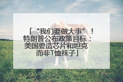 “我们要做大事”！特朗普公布政策目标：美国要造芯片和坦克 而非T恤袜子