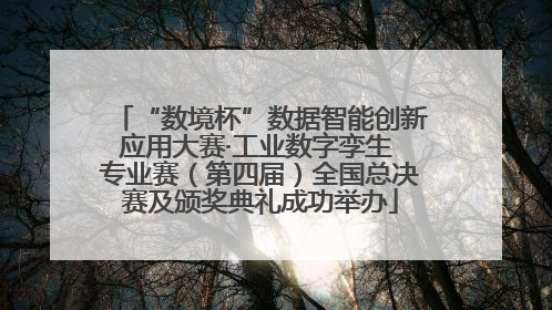“数境杯”数据智能创新应用大赛·工业数字孪生 专业赛（第四届）全国总决赛及颁奖典礼成功举办