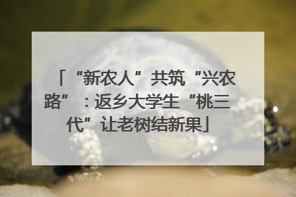“新农人”共筑“兴农路”：返乡大学生“桃三代”让老树结新果