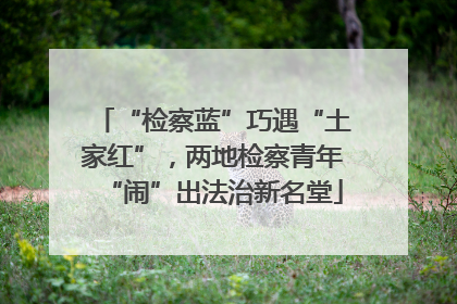 “检察蓝”巧遇“土家红”，两地检察青年“闹”出法治新名堂