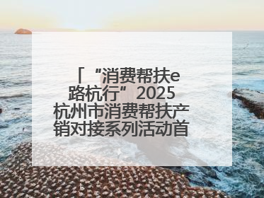 “消费帮扶e 路杭行”2025杭州市消费帮扶产销对接系列活动首场活动圆满收官