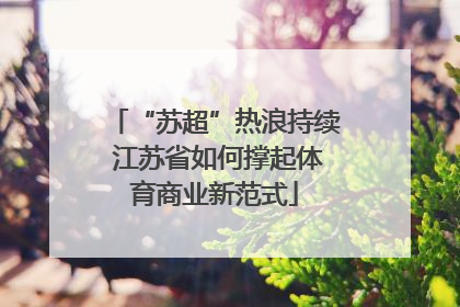 “苏超”热浪持续 江苏省如何撑起体育商业新范式