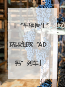 “车辆医生”精雕细琢“AD钙”列车