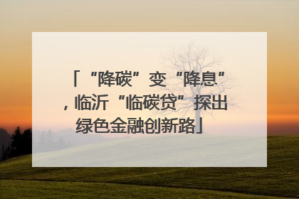 “降碳”变“降息”，临沂“临碳贷”探出绿色金融创新路