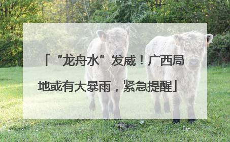 “龙舟水”发威！广西局地或有大暴雨，紧急提醒
