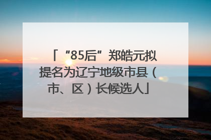 “85后”郑皓元拟提名为辽宁地级市县（市、区）长候选人