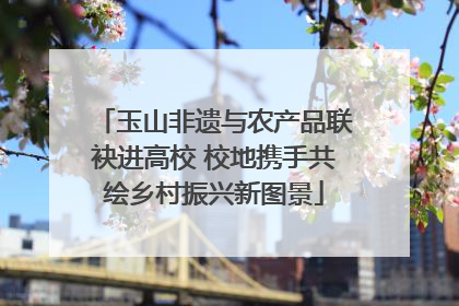 玉山非遗与农产品联袂进高校 校地携手共绘乡村振兴新图景