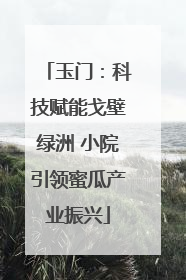 玉门：科技赋能戈壁绿洲 小院引领蜜瓜产业振兴