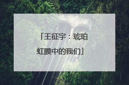 王征宇：琥珀虹膜中的我们