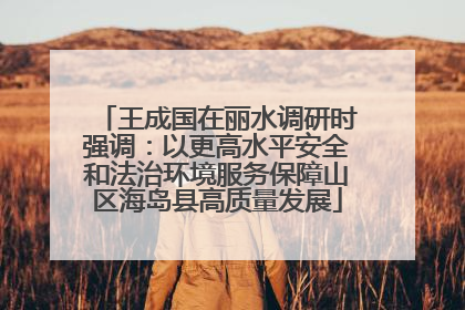 王成国在丽水调研时强调：以更高水平安全和法治环境服务保障山区海岛县高质量发展