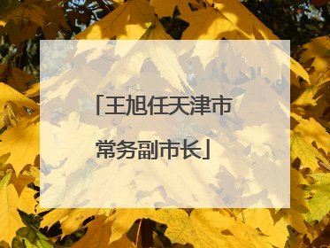 王旭任天津市常务副市长