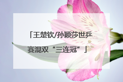 王楚钦/孙颖莎世乒赛混双“三连冠”