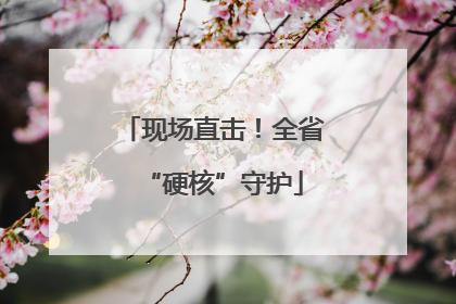 现场直击！全省“硬核”守护