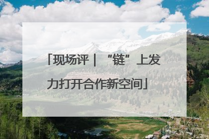 现场评｜“链”上发力打开合作新空间