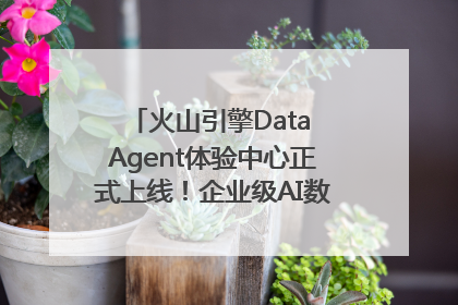 火山引擎Data Agent体验中心正式上线！企业级AI数据专家触手可及