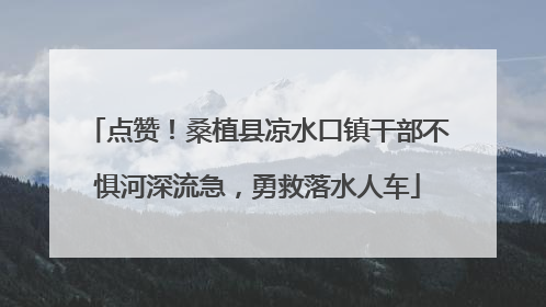 点赞！桑植县凉水口镇干部不惧河深流急，勇救落水人车