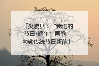炎陵县：“我们的节日•端午”画卷 勾勒传统节日新韵