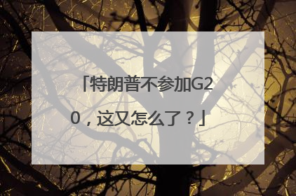 特朗普不参加G20，这又怎么了？