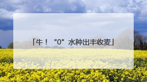 牛！“0”水种出丰收麦