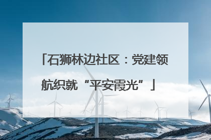 石狮林边社区：党建领航织就“平安霞光”