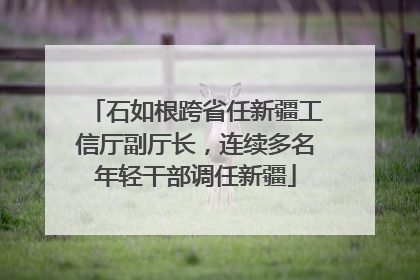 石如根跨省任新疆工信厅副厅长，连续多名年轻干部调任新疆