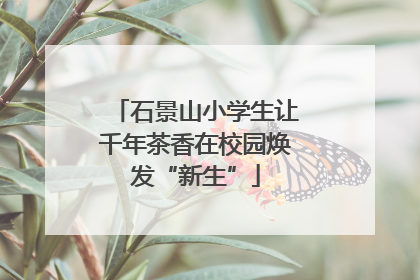 石景山小学生让千年茶香在校园焕发“新生”